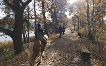 První dobrodružství v sedle pod bezpečným vedením