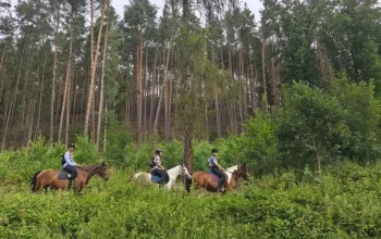 Objevte kouzlo přírody ze sedla koně