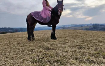 Objevte kouzlo přírody ze sedla koně