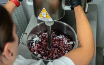 Vyrobte si vlastní pravé italské gelato a odneste si domů 5 litrů
