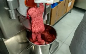 Vyrobte si vlastní pravé italské gelato a odneste si domů 5 litrů