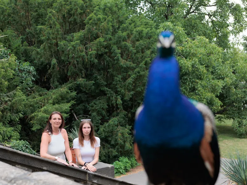 Rodinné focení v přírodě nebo ve městě