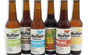 Domácí degustace piva + 6 pivních speciálů