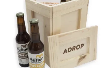 Domácí degustace piva + 6 pivních speciálů