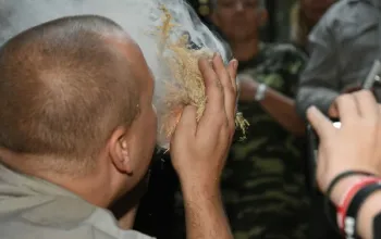 Kurz přežití v přírodě
