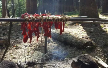 Kurz přežití v přírodě