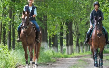 Romantický wellness pobyt pro dva, Frankův Dvůr
