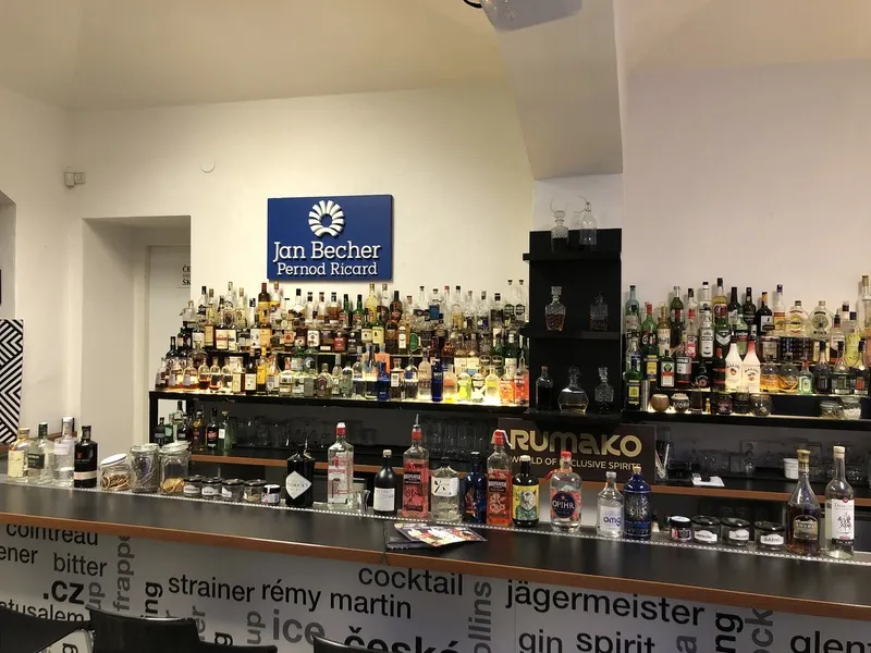 Degustace ginu + párování s tonikem