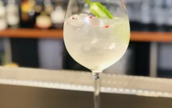 Degustace ginu + párování s tonikem
