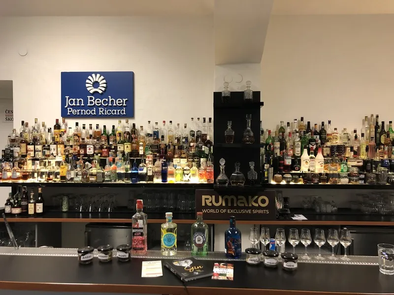 Degustace ginu + párování s tonikem