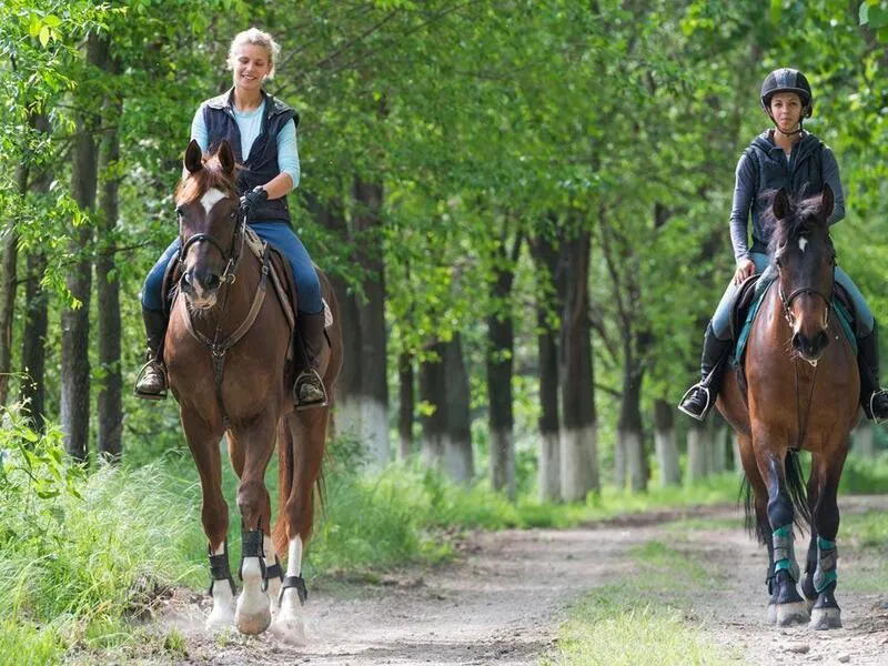 Wellness relax v pracovním týdnu, Frankův Dvůr