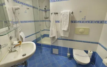 Wellness relax v pracovním týdnu, Frankův Dvůr