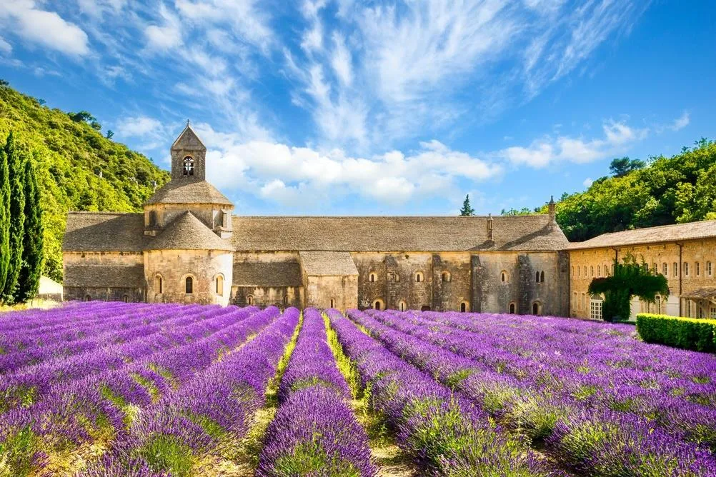 Levandulová Provence