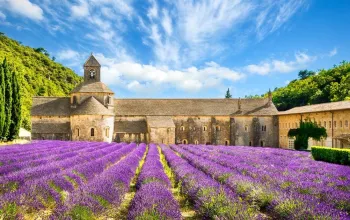 Levandulová Provence – dárek a zážitek