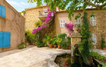 Levandulová Provence