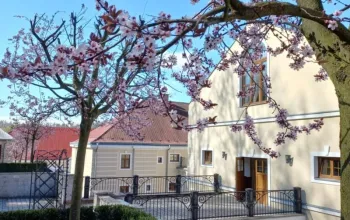Klášterská noc pro dva v Hotelu Malý Pivovar
