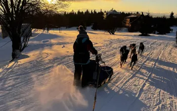 Mushing - jízda se psím spřežením