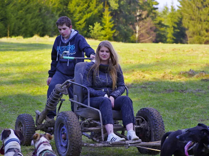Mushing - jízda se psím spřežením