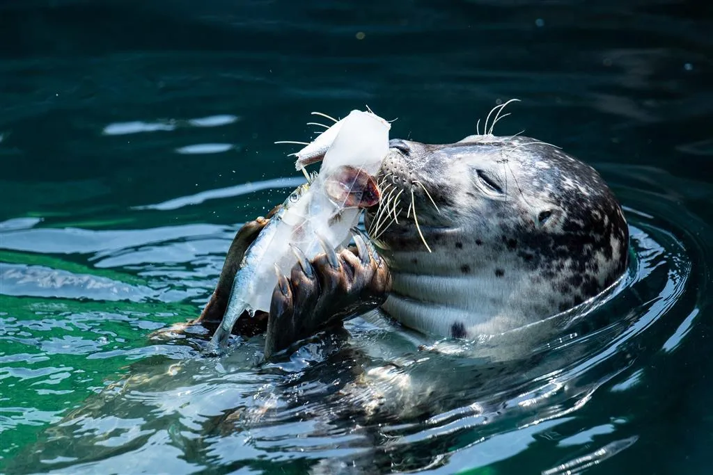 ZOO Wroclaw a Afrykarium