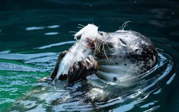 ZOO Wroclaw a Afrykarium – dárek a zážitek