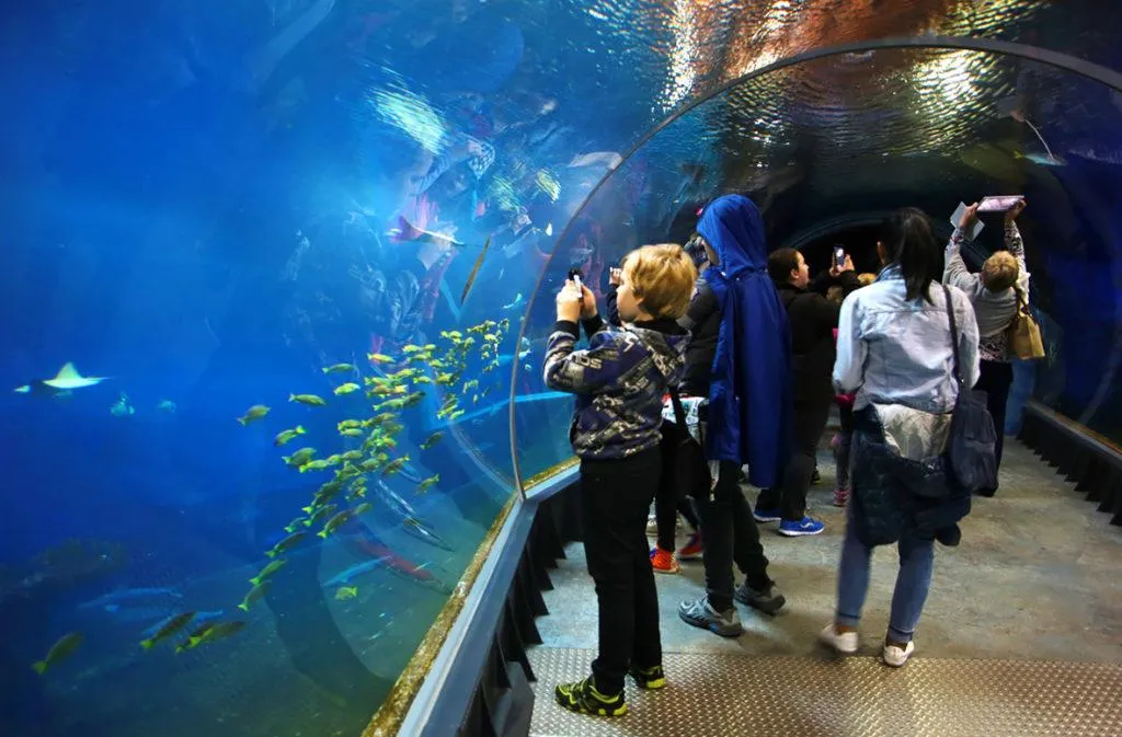 ZOO Wroclaw a Afrykarium