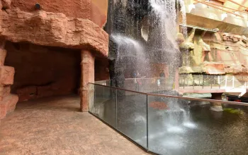 ZOO Wroclaw a Afrykarium
