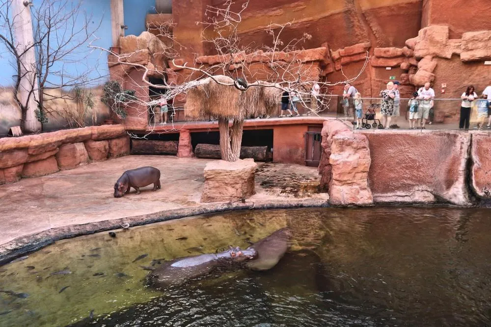 ZOO Wroclaw a Afrykarium