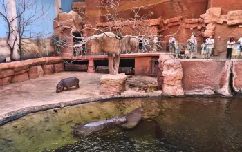 ZOO Wroclaw a Afrykarium