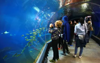 ZOO Wroclaw a Afrykarium