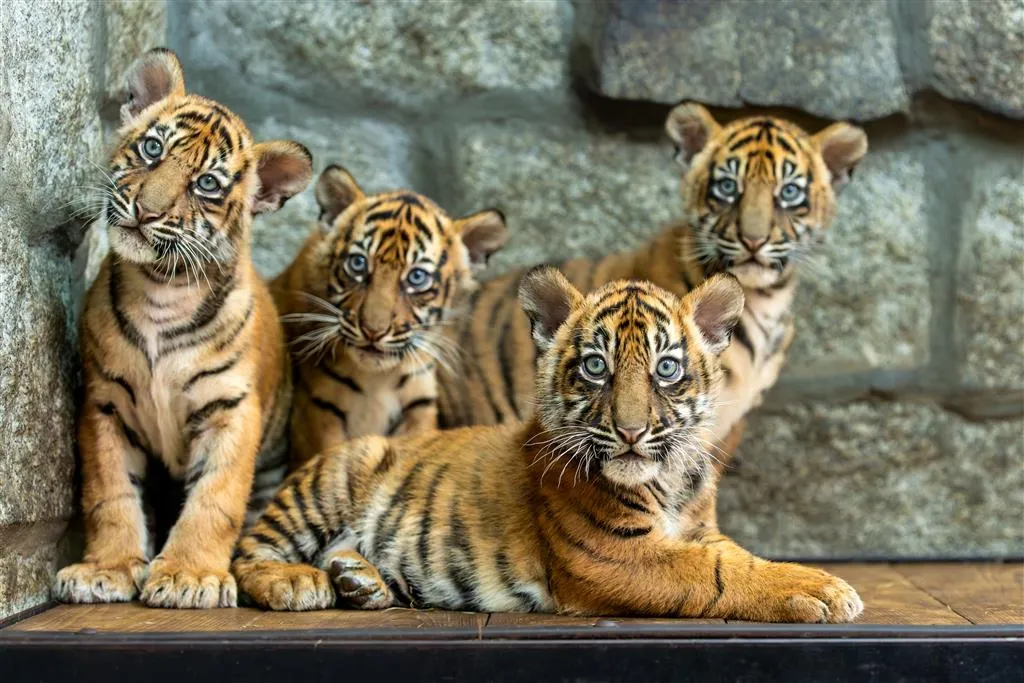 ZOO Wroclaw a Afrykarium