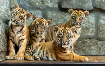 ZOO Wroclaw a Afrykarium