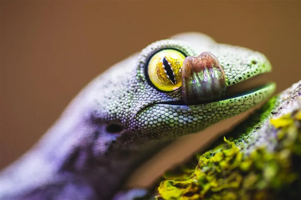 ZOO Wroclaw a Afrykarium
