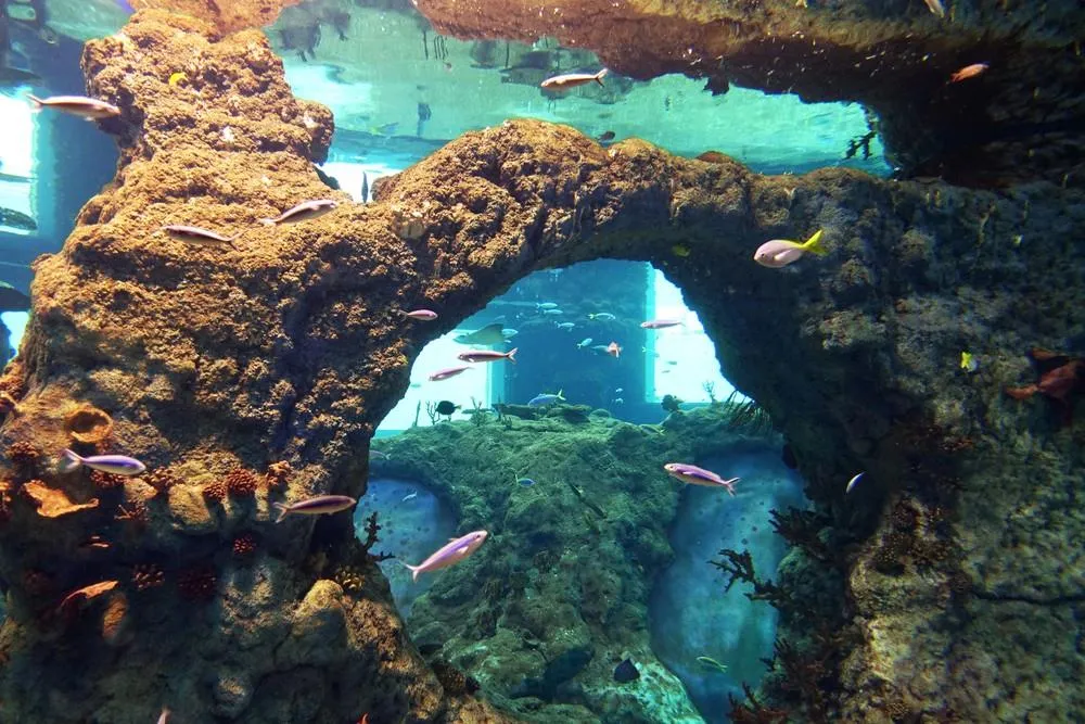 ZOO Wroclaw a Afrykarium