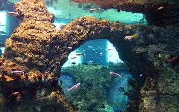 ZOO Wroclaw a Afrykarium
