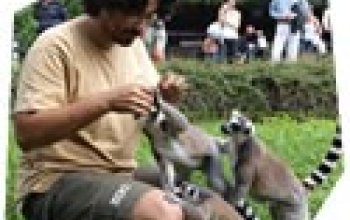 Ošetřovatelem v ZOO – dárek a zážitek