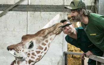 Ošetřovatelem v ZOO – dárek a zážitek