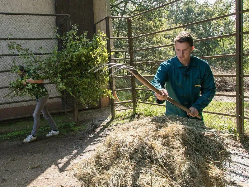 Ošetřovatelem v ZOO