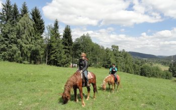 Vyjížďka na koni – dárek a zážitek