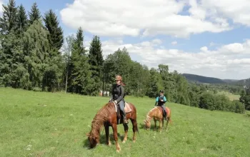 Vyjížďka na koni – dárek a zážitek