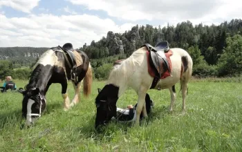 Vyjížďka na koni
